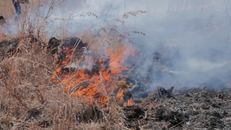 Close-up-slow-motion-field-fire