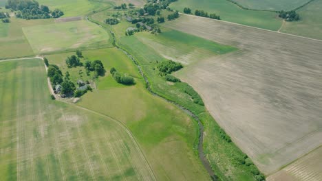 vista aérea a vista de pájaro de un campo de grano en maduración, agricultura orgánica, paisaje rural, producción de alimentos y biomasa para un manejo sostenible, día soleado de verano, foto panorámica de un avión no tripulado avanzando