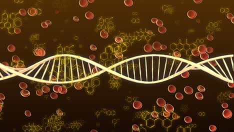 adn doble hélice 3d ciencia realista virtual bajo microscopio monitor de fondo de animación