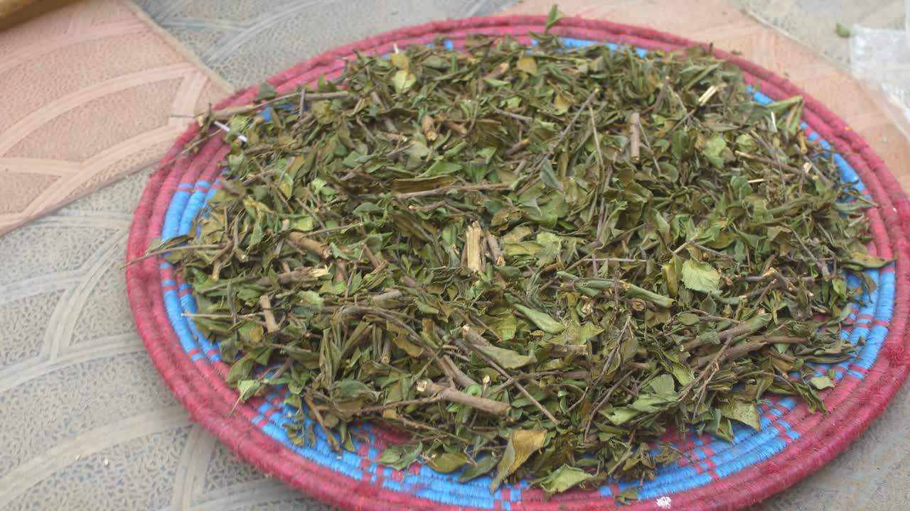 Dry ingredient shiny-leaf buckthorn to be ready for making Ethiopian traditional beer