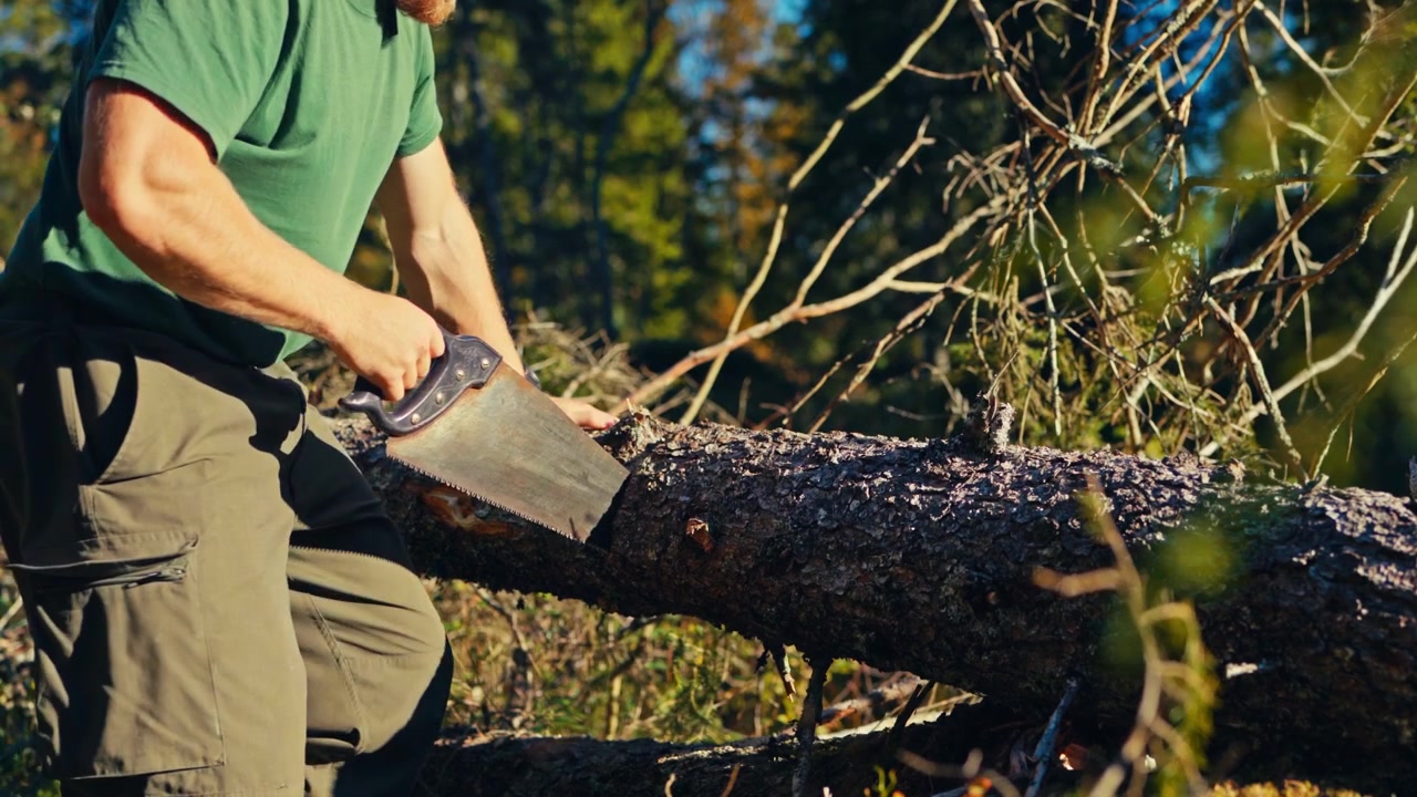 A Man is Sawing a Large Tree Trunk With a Handsaw Outdoors in a Forested Area - Medium Shot