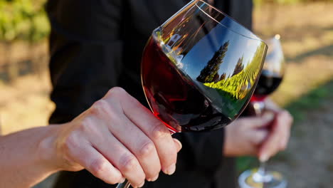 wine tasting experience in vineyard