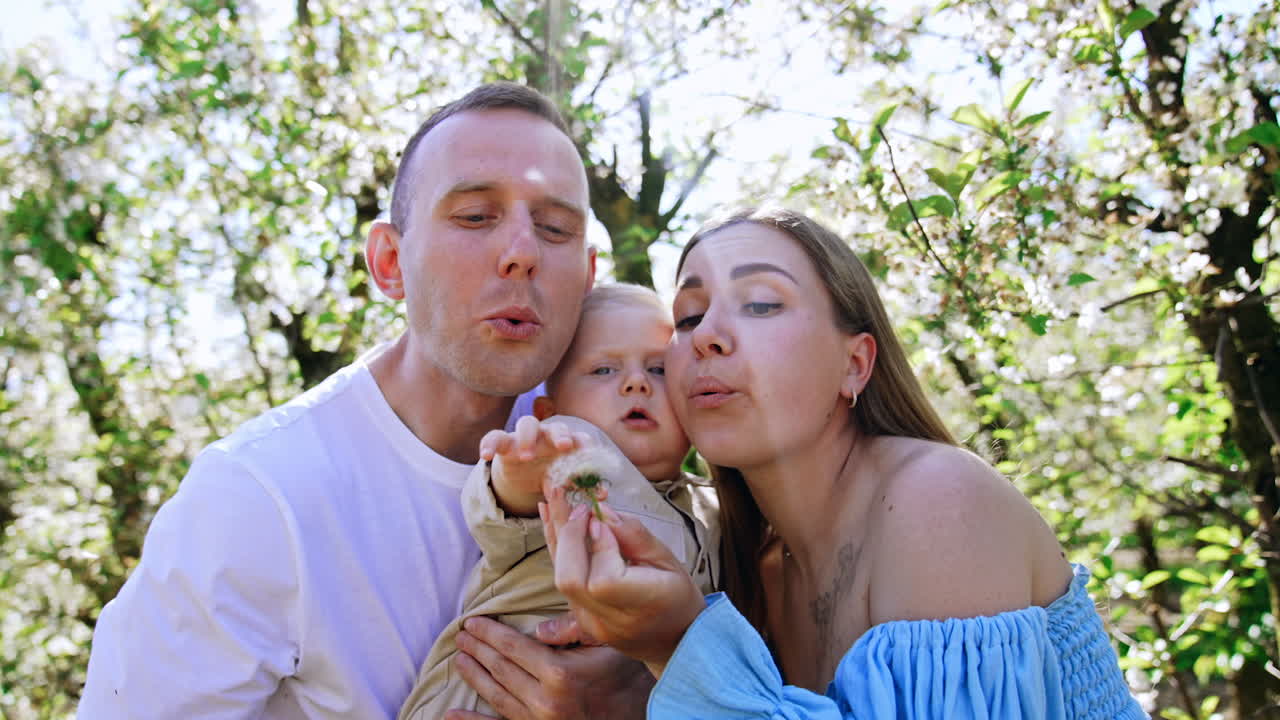 Caucasian parents holding their baby boy between them. Mom and dad blow the dandelion in front of their son.