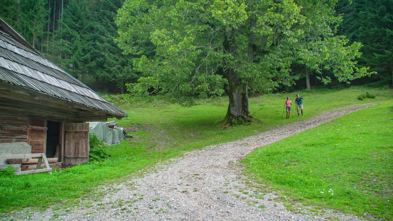 Tilt down reveal of a couple returning to their wooden hut accommodation after hiking in the woods