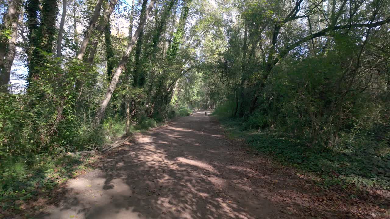 dirt path winding through a forested area. The path is surrounded by dense vegetation, including trees and various types of underbrush. Sunlight filters through the tree canopy