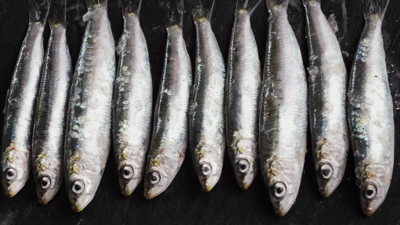 Frozen Sardines