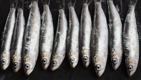 frozen sardines