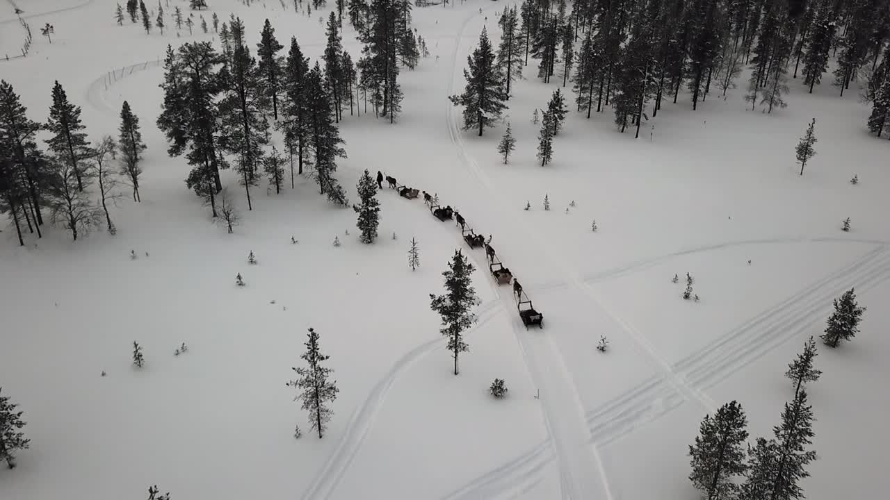 vista de drones de trineo de renos en saariselka, laponia, finlandia