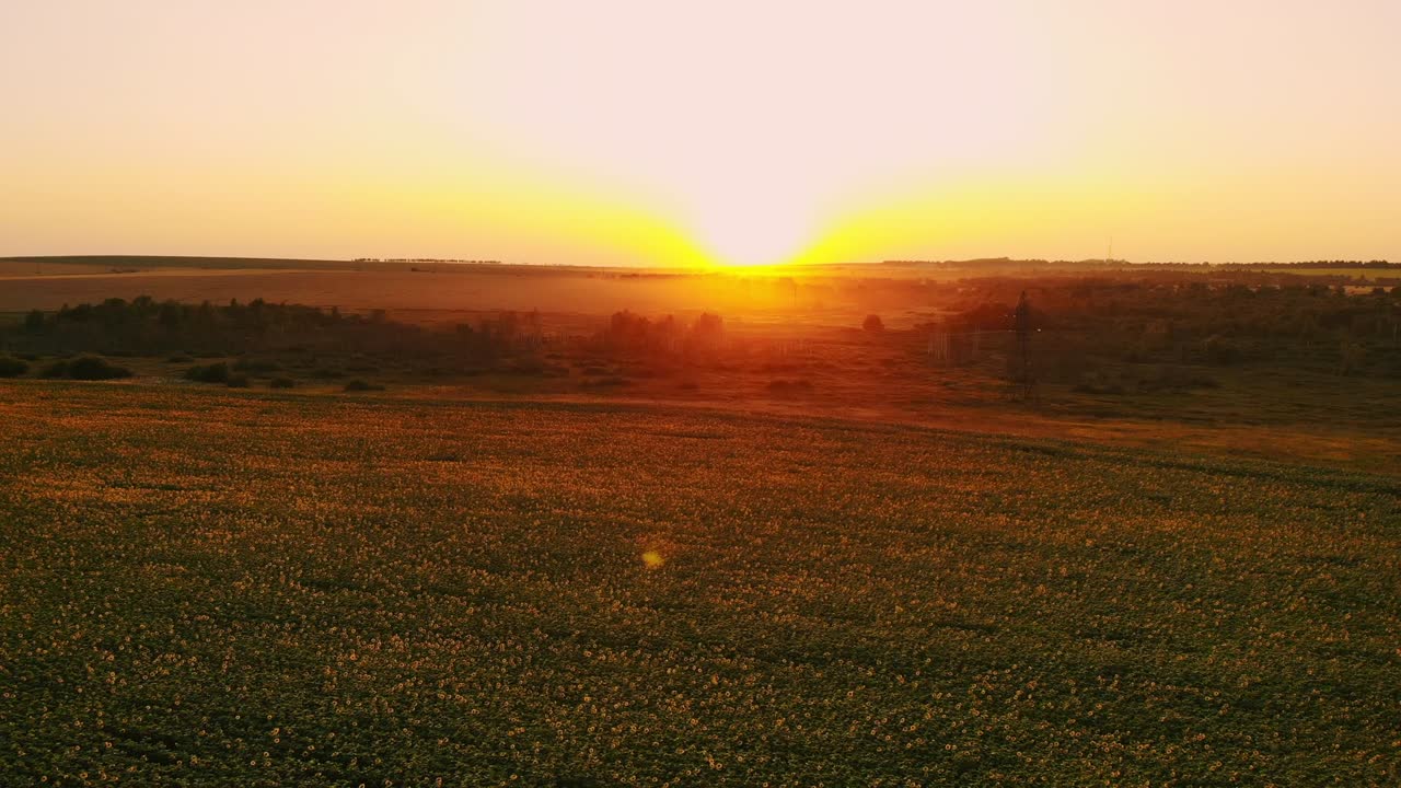안개가 많은 날에 빛이 피는 빛의, 안개에 은 빛 은 초원, 여름의 풍경, 농업과 농장의 배경, 시골 개념