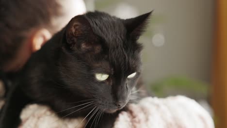 Close-up-Of-A-Black-Cat-Carrying-Over-A-Woman's-Shoulder