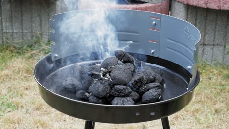 steam arise from coal pile on barbecue grill - outdoor cooking - close up shot