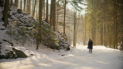 Female-Hiker-Nordic-Walking-Winter