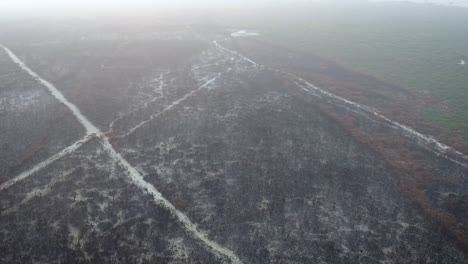 a slight pan aerial shot of a blackened australian landscape, on the edge of the fire grounds