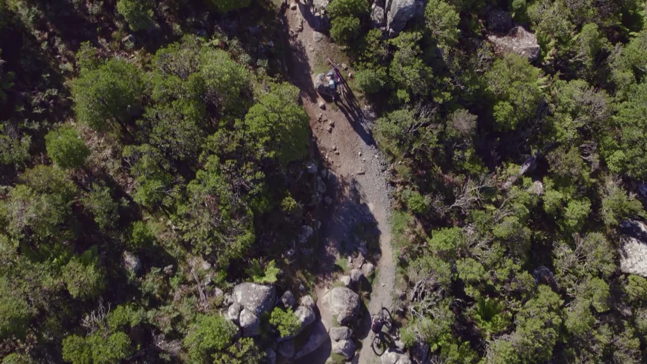 los ciclistas de montaña aéreos de arriba hacia abajo en el remoto blue tier trail, derby, tasmania