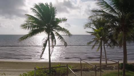 ocean she view of sunrise with the palm trees in total tranquility