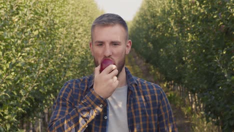 man eating an apple in an orchard