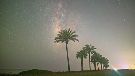 The-starry-sky-with-the-Milky-Way-passes-behind-a-row-of-palm-trees