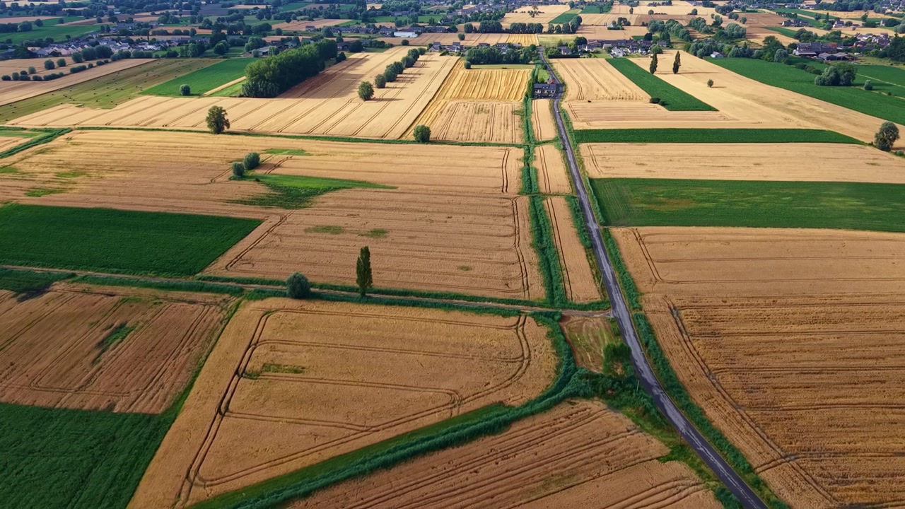 Drone overview of golden and green agricultural fields form a patchwork pattern divided by a straight country road in rural region, France