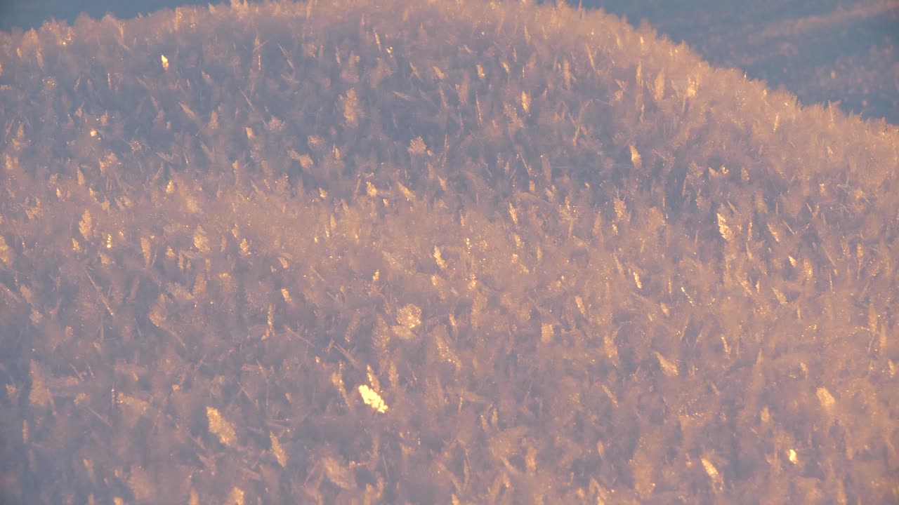 Panning Close up of Sparkling Snowflakes And Shiny Icy Hoarfrost crystals on Winter Morning At Golden hour Sunrise
