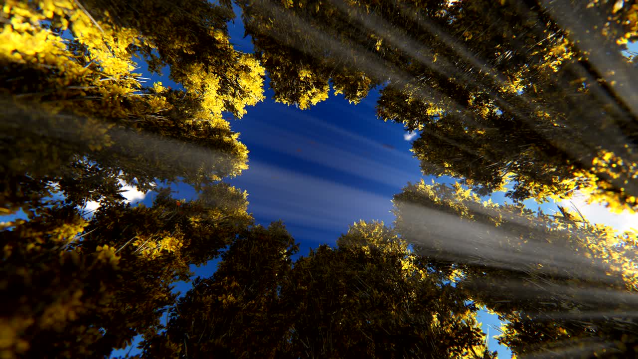 Timelapse clouds night to day over autumn trees circle, zoom in, 4k