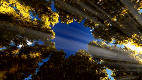 timelapse clouds night to day over autumn trees circle, zoom in, 4k