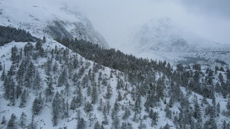 drone shot of frozen wonderland at manang nepal, annapurna circuit with snowy landscape, trees covered with snow, mountains, filmy horror 4k