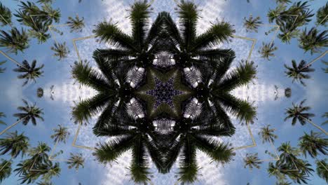 kaleidoscope illusion optic coconut tree in blue sky