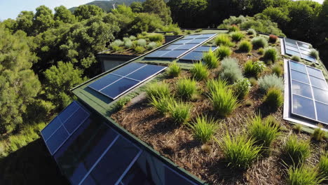 sustainable building with green roof and solar panels