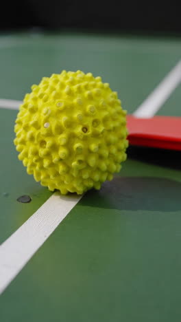 table tennis ball and paddle on a table