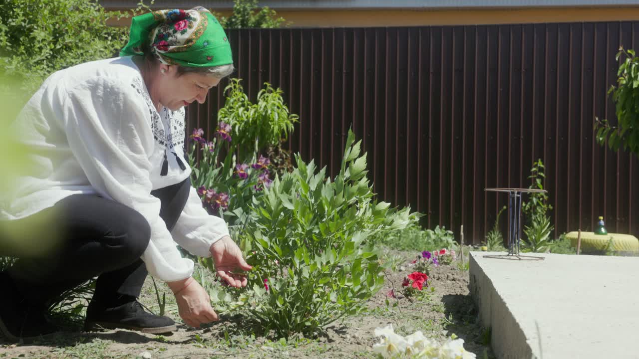 Jardineira entra no jardim para verificar uma planta durante a estação seca.