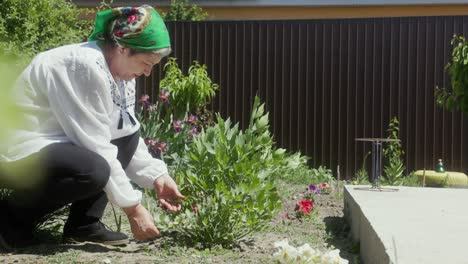 female gardener walks into garden to check on plant during dry season