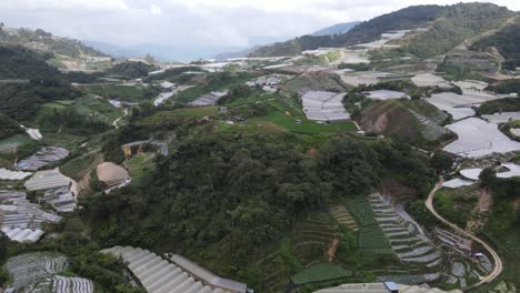 general landscape view of the brinchang district within the cameron highlands area of malaysia