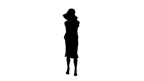 Frau-Mit-Sonnenhut-Und-Sommerkleid-In-Schwarzer-Silhouette