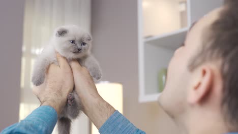 um gatinho branco miou.