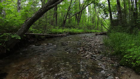 smooth slow motion drone footage flying over a beautiful crystal clear stream deep in the lush forest of maine