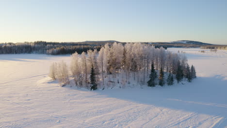 Aerial-view-around-a-circle-of-isolated-frosty-woodland-trees-in-idyllic-Scandinavia-winter-landscape