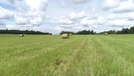 hay bales in a green field