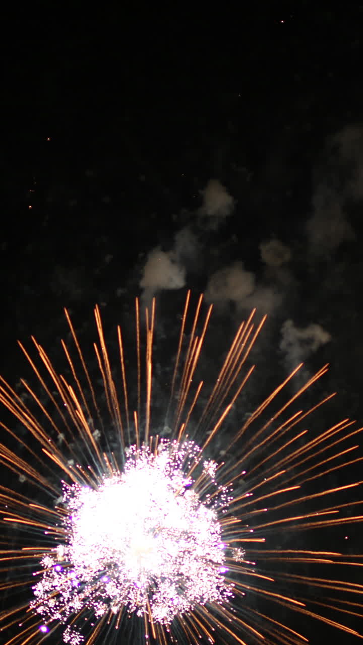 spettacolo di fuochi d'artificio sullo skyline di barcellona video in formato verticale