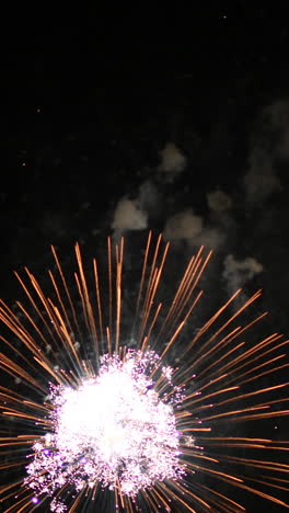 exhibición de fuegos artificiales sobre el horizonte de barcelona vídeo en formato vertical