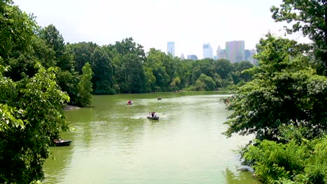 boat pedals swimming on a pond in the central park