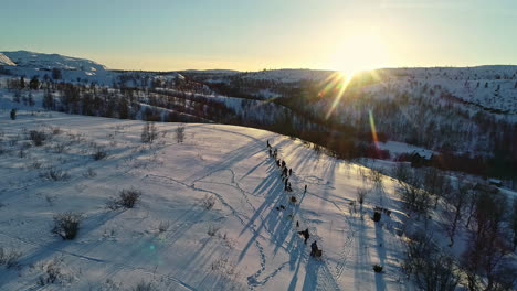 aerial parallax shot of people standing in long queue with their huskies on top of a mountain landscape covered with snow and beautiful reflection of sunlight falling on the mountains