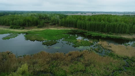 aerial view of the marsh area