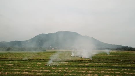 Global-warning-open-fire-at-open-rice-paddy-field.