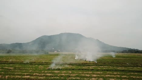 글로벌 경보  ⁇   ⁇ 에서 총을 발사하십시오.