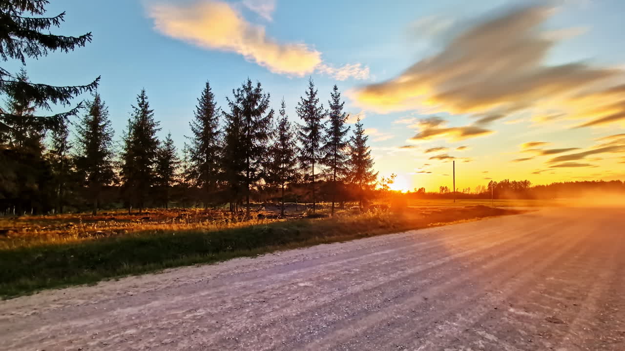 Dirt road and pine trees at sunset with colorful sky and evening light, natural background