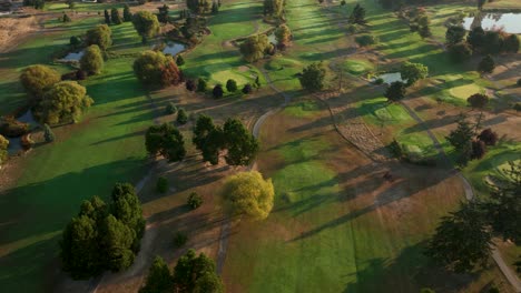 top down view of a golf course in the early morning light with patches of dead grass from the summer heat