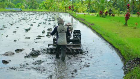 rice field cultivating maschine