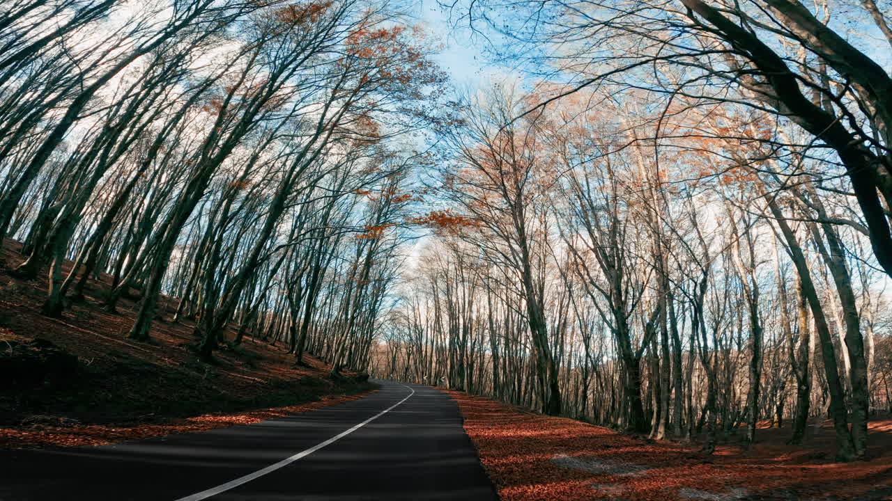 Traveling by car on a mountain road with dry trees after Autumn