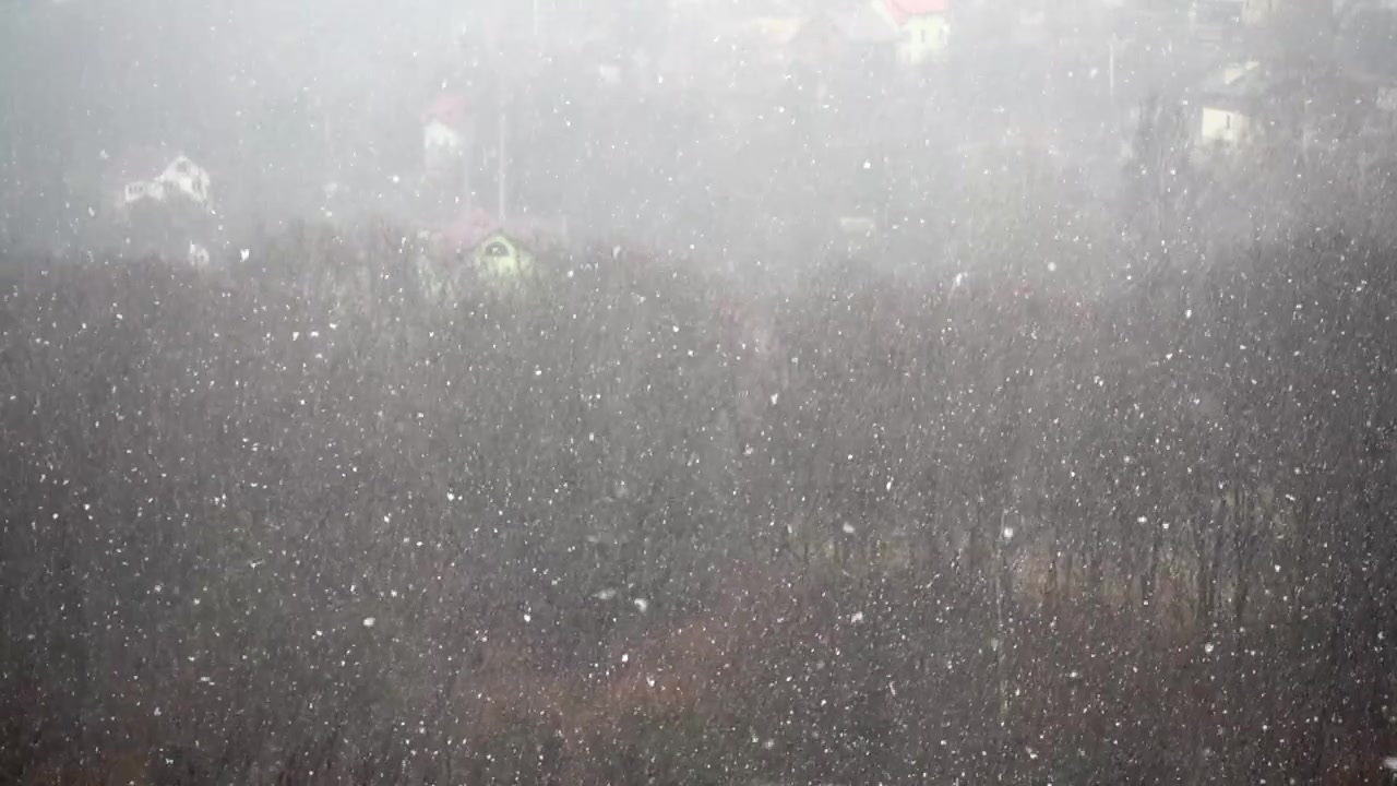 Snestorm om vinteren. Slowmotion.
