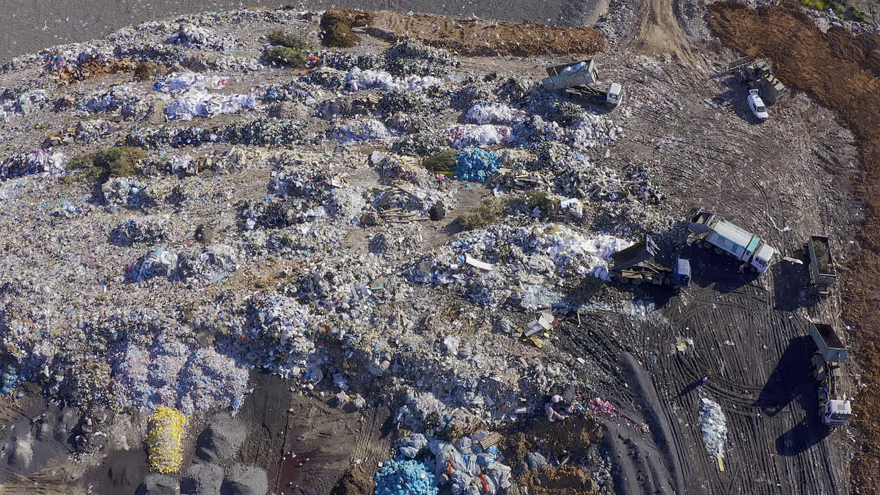 se agolpan alrededor del vertedero